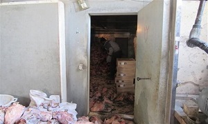 کشف و معدوم سازی بیش از ۲۳۰ کیلوگرم فراورده خام دامی غیرقابل مصرف انسانی درشهرستان اسکو