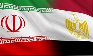 ایران آماده کمک در زمینه فناوری صلح‌آمیز هسته‌ای به مصر است