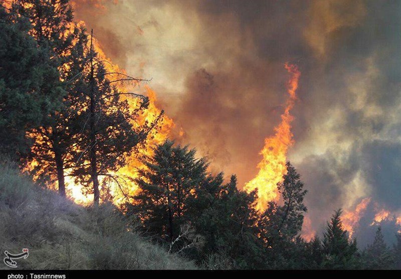 جنگل‌های مرزن‌آباد با گذشت ۲۴ ساعت همچنان در شعله‌های آتش می‌سوزد