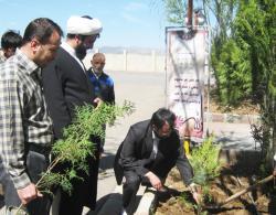 کاشت 300 نهال در دانشگاه آزاداسلامی صوفیان