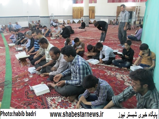 گزارش تصویری/مراسم احیاء در مساجد شندآباد