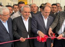 بهره‌برداری از بزرگترین گلخانه هیدروپونیک در شبستر