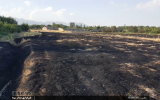آتش سوزی مرگبار در اراضی دیزج خلیل شبستر
