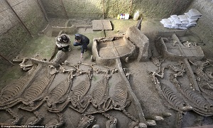 آرامگاه ۲۵۰۰ ساله اسب ها با کالسکه + تصاویر
