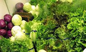 سبزیجات مهمترین پادزهر مسمومیت غذایی