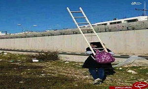 عکس/ دختری که هر روز با «نردبان» به مدرسه می‌رود