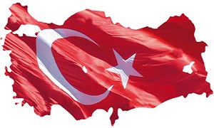 ۸ زخمی در پی انفجار در دیاربکر ترکیه
