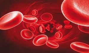 نشانه‌های کمبود پلاکت خون چیست؟