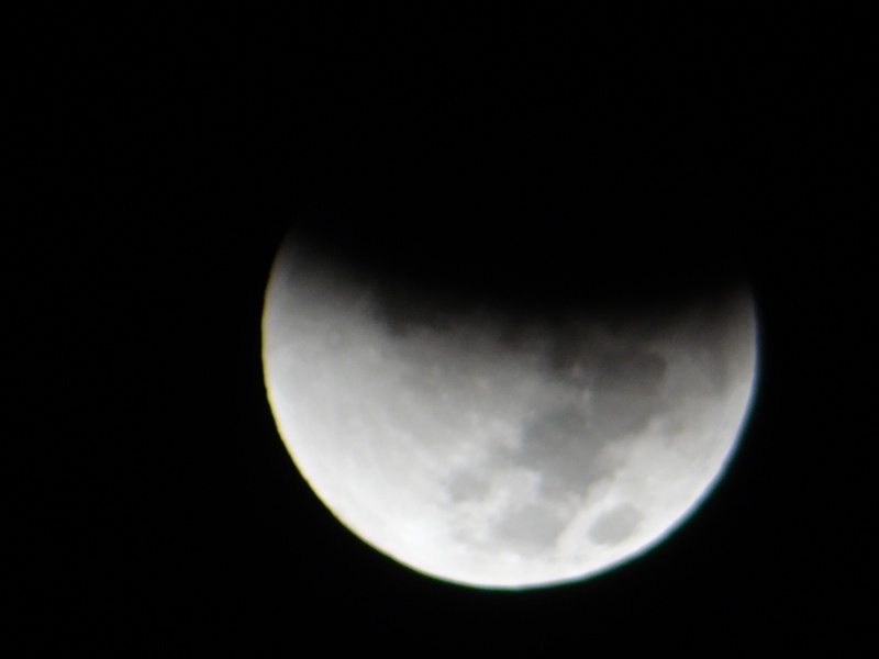 تصاویر لحظه به لحظه از ماه گرفتگی بامداد دوشنبه