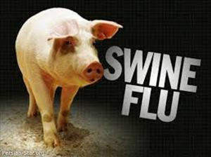 آنفلوآنزای خوکی در هند جان 812 نفر را گرفت