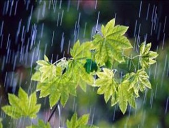 تداوم بارش باران در آذربایجان شرقی/ هشدار نسبت به بارش تگرگ