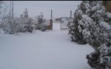 بارش برف چهره شهرستان شبستر را سفیدپوش کرد+ فیلم